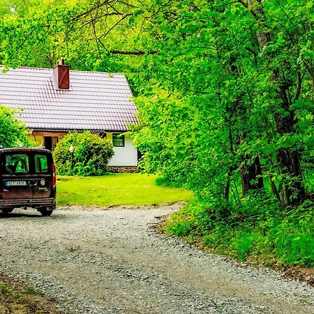 Holiday home Dolni Jilovice By Interhome